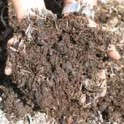 Mushroom Compost Jumbo m3 Bag