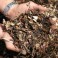 Woodchip Mulch Jumbo m3 bag - Natural Weed Suppressant